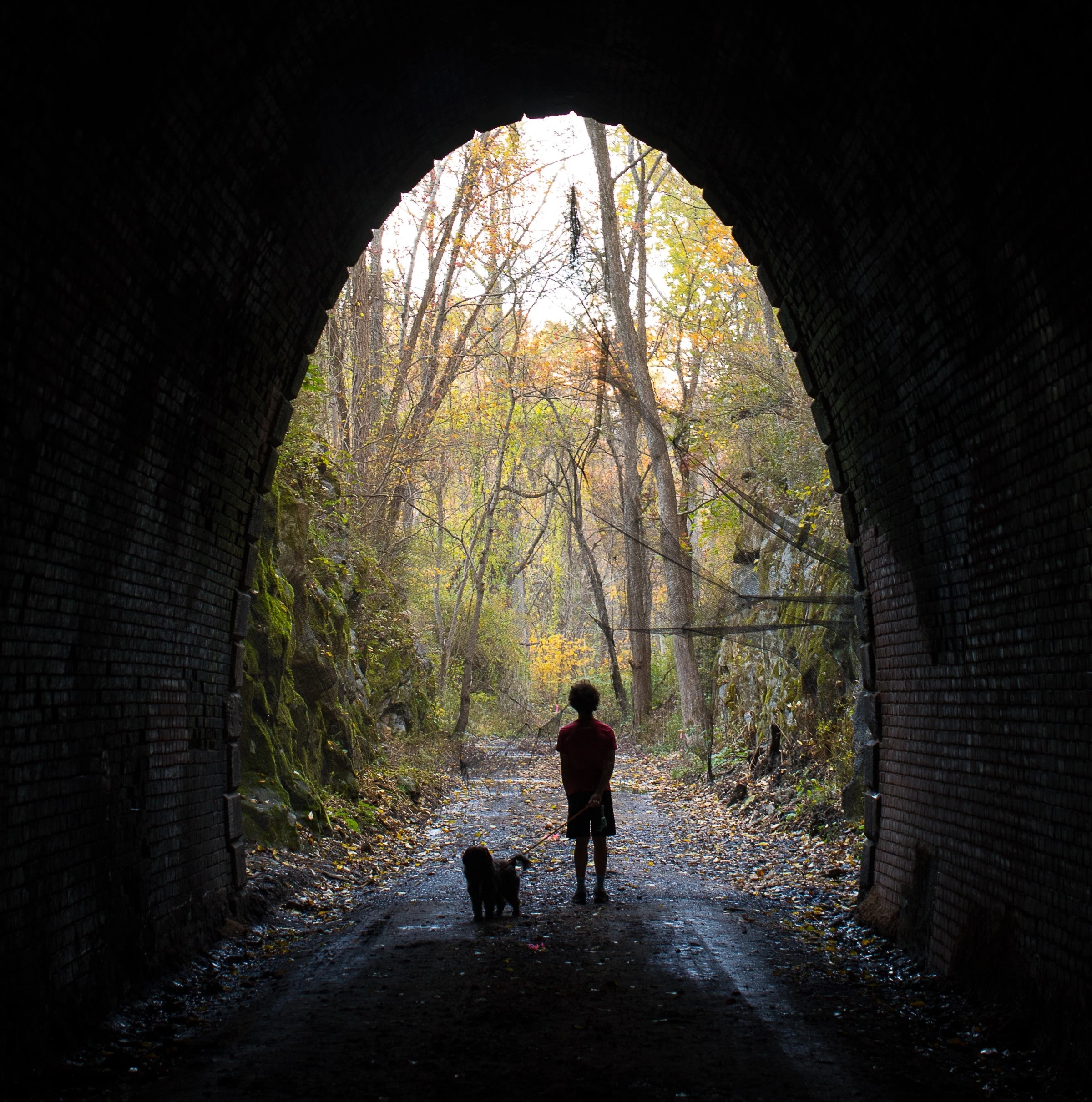 Blue Ridge Tunnel - Get Outdoors - Hiking
