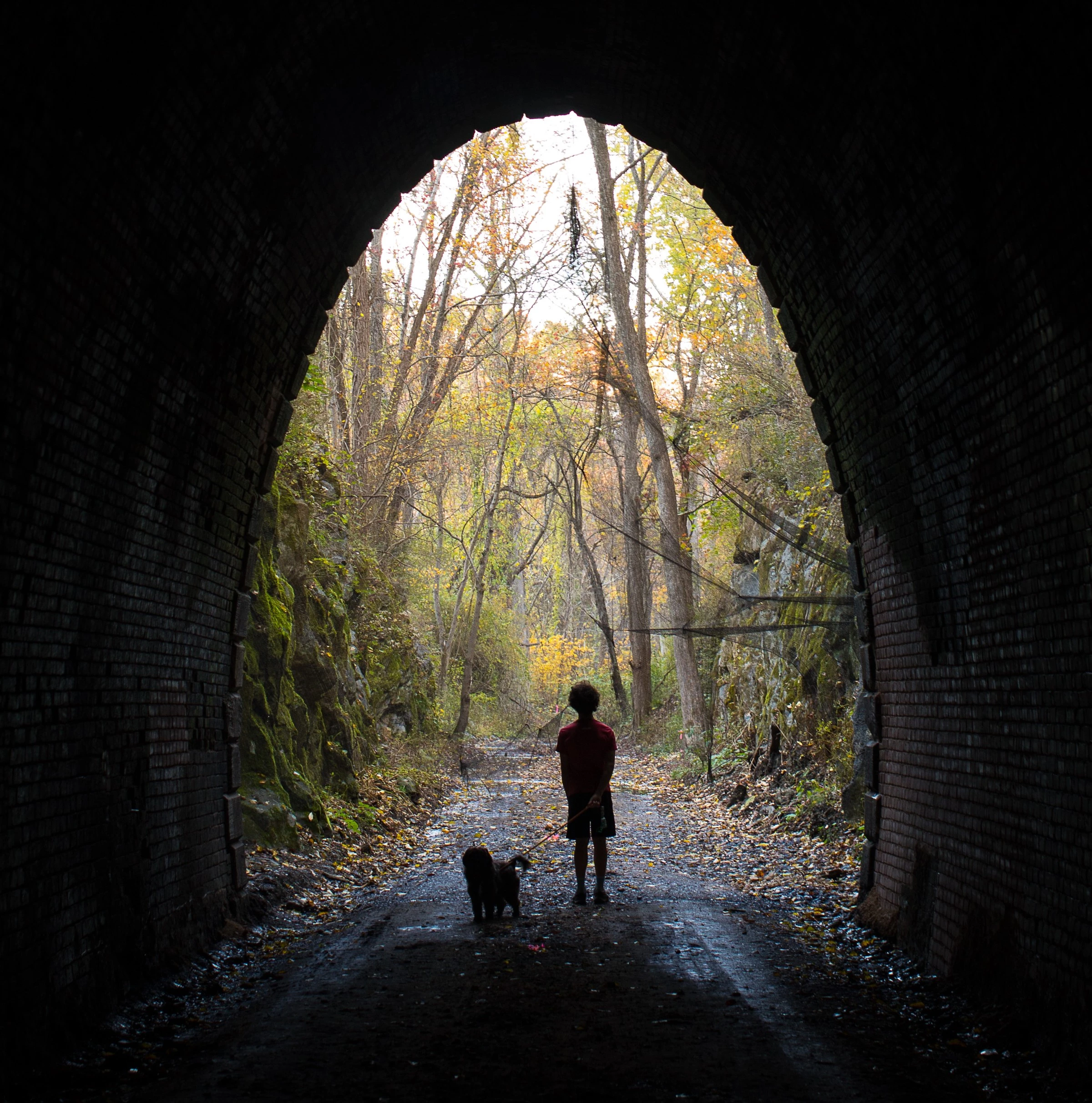 Blue Ridge Tunnel Trail - Naturally Waynesboro Blog