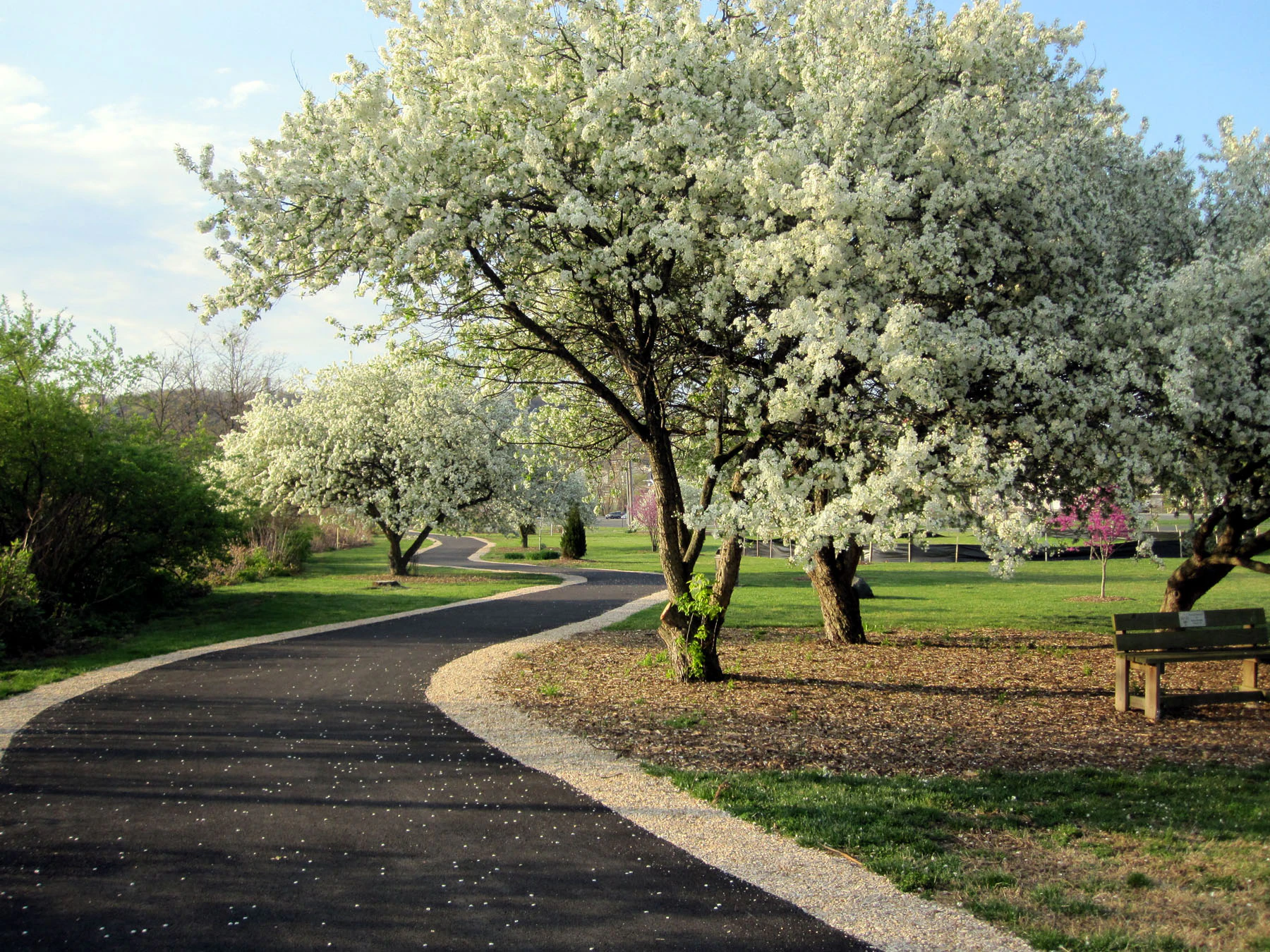 South River Greenway Trail - Get Outdoors - City Parks