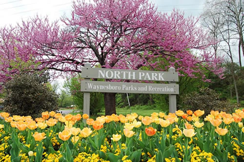 North Park - Get Outdoors - City Parks