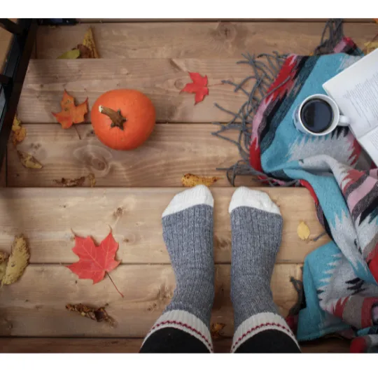 Fall Foliage Book Sale